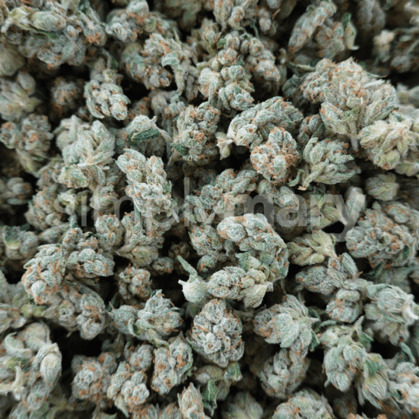 SFV OG Smalls - Image 3