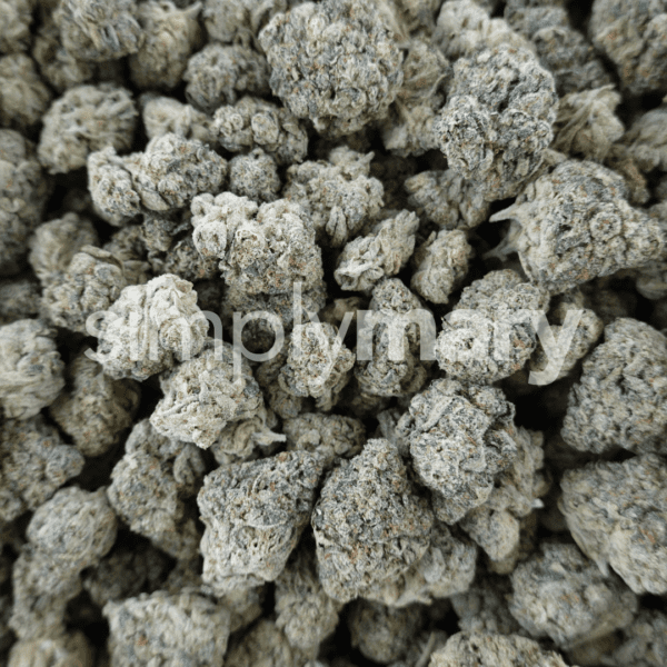 Astronaut P Mediums - Image 3