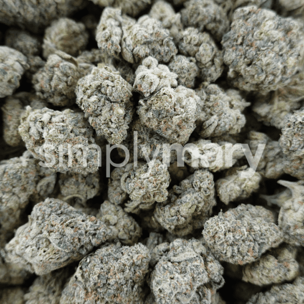 Astronaut P Mediums - Image 2