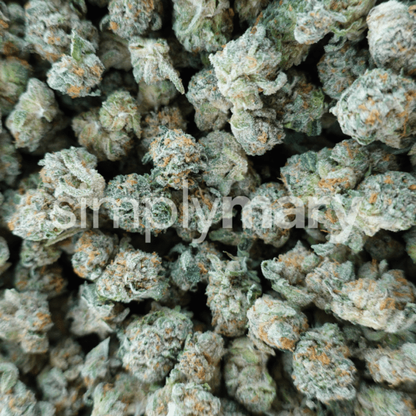 Jet Fuel Gelato Smalls - Image 2