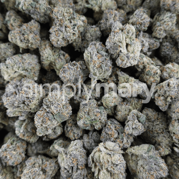 Blueberry Popperz Mediums - Image 3