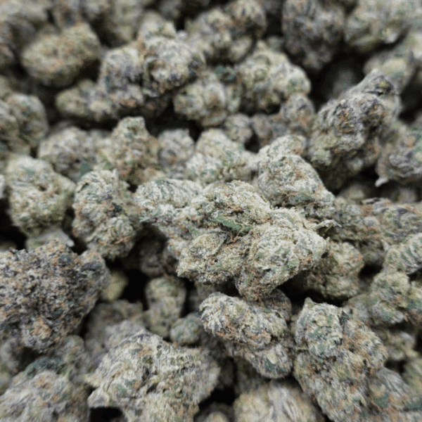 Blue Nerdz Mediums - Image 3