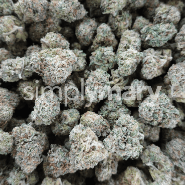 Bubblegum Mediums - Image 2