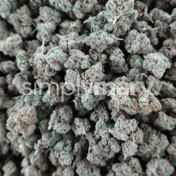 SFV OG Smalls - Image 2