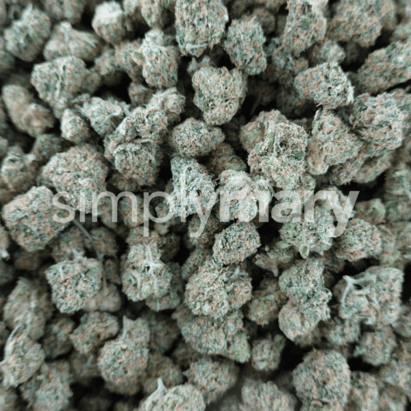 Zkittlez Smalls - Image 2