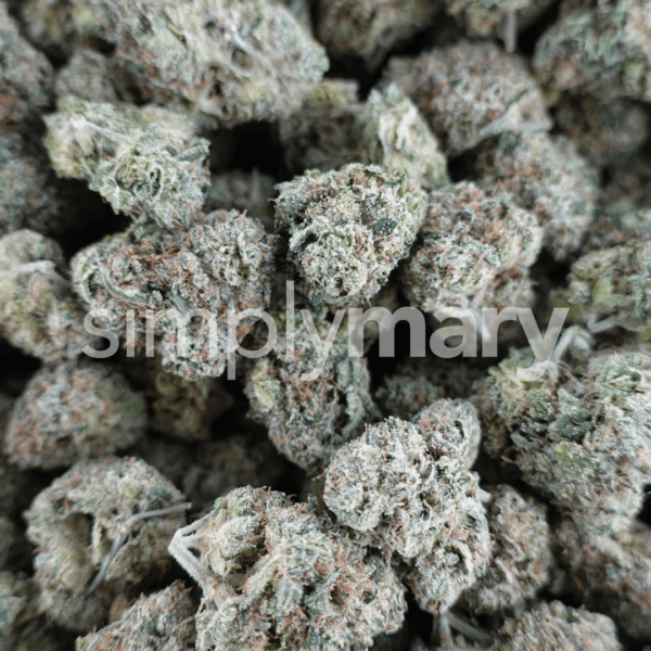 Bubblegum Mediums - Image 3