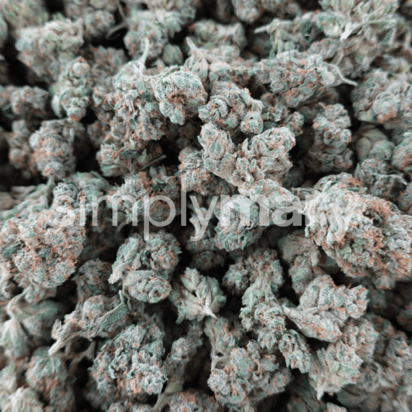 SFV OG Smalls - Image 3