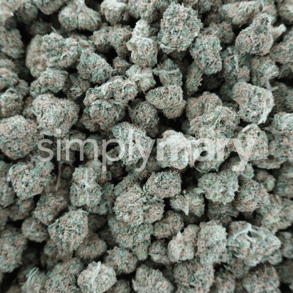 Zkittlez Smalls - Image 3