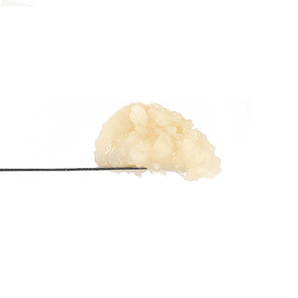 Government Oasis Rosin