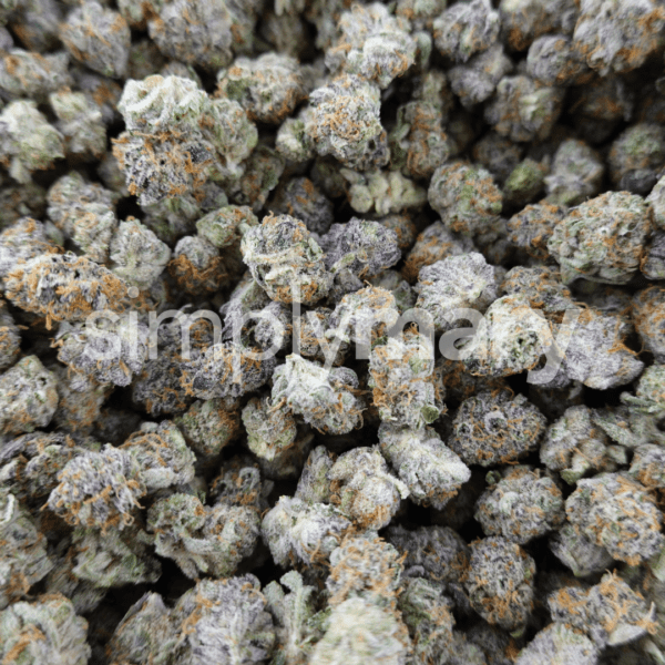 Carbon Fiber Smalls - Image 2