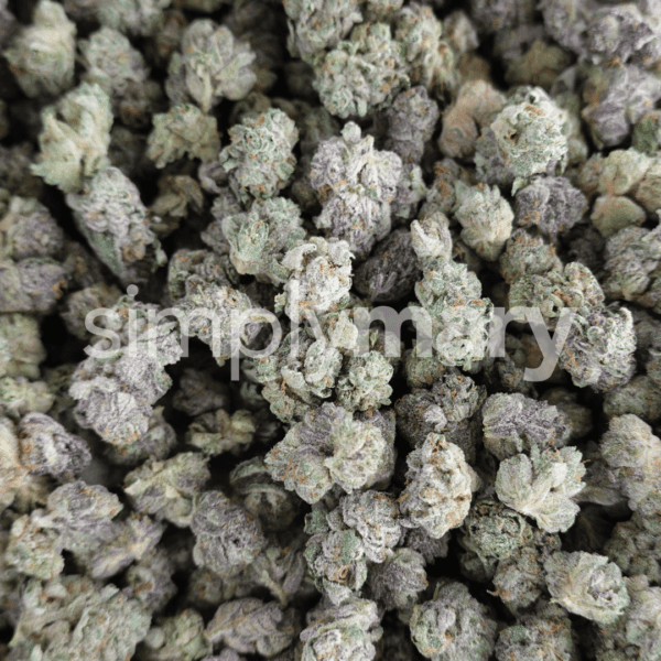 Gotti Beltz Smalls - Image 2