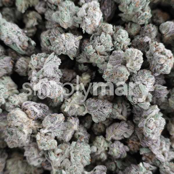 Gotti Beltz Smalls - Image 3