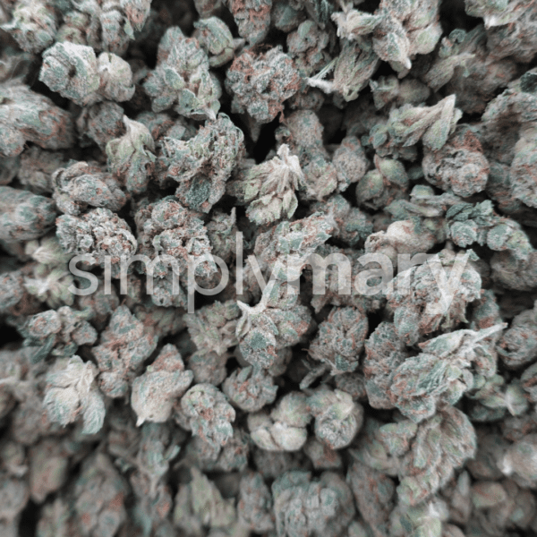 Skywalker OG Smalls - Image 3