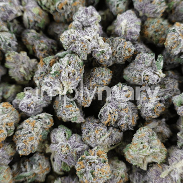 Gelato 41 Smalls - Image 3