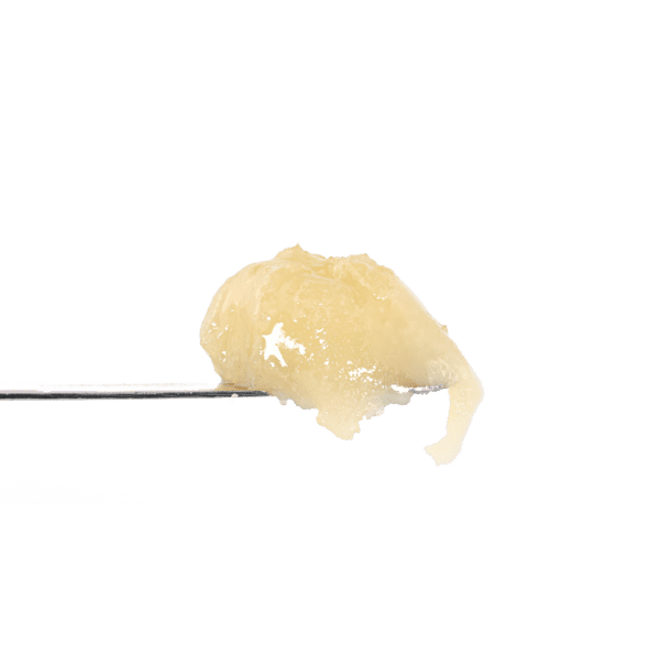 Government Oasis Rosin