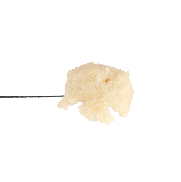 Z x MVP23 Rosin