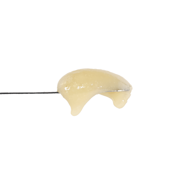 Zkittlez Rosin
