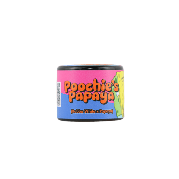 Poochies Papaya OEUF Tech Rosin - Image 3