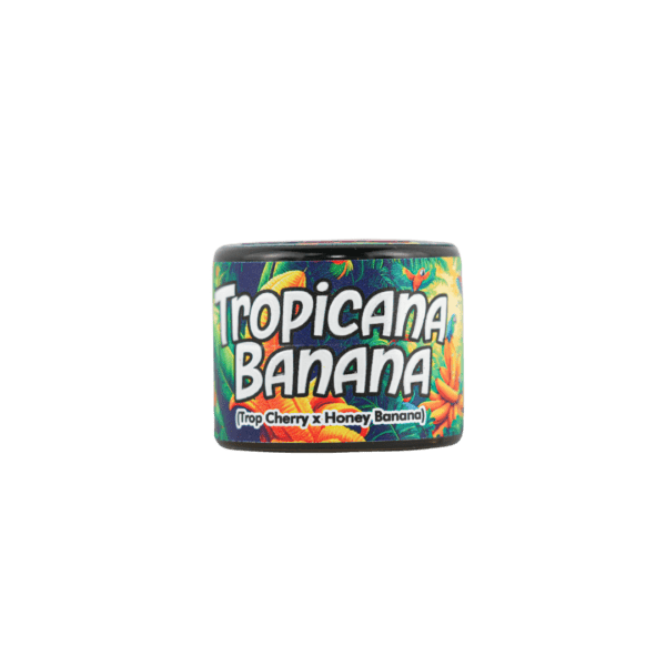 Tropicana Banana OEUF Tech Rosin - Image 3