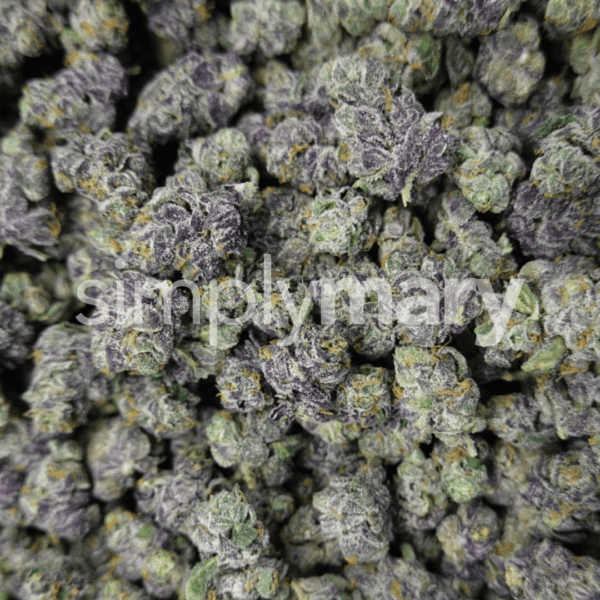 Lemon Cherry Sherbert Smalls - Image 2