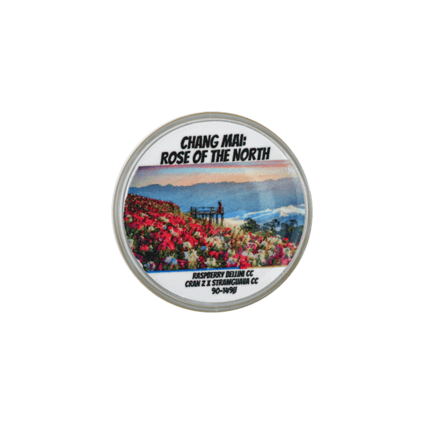 Chang Mai: Rose of the North Thumbprint - Image 2