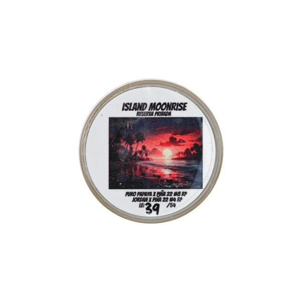 Island Moonrise Thumbprint - Image 2
