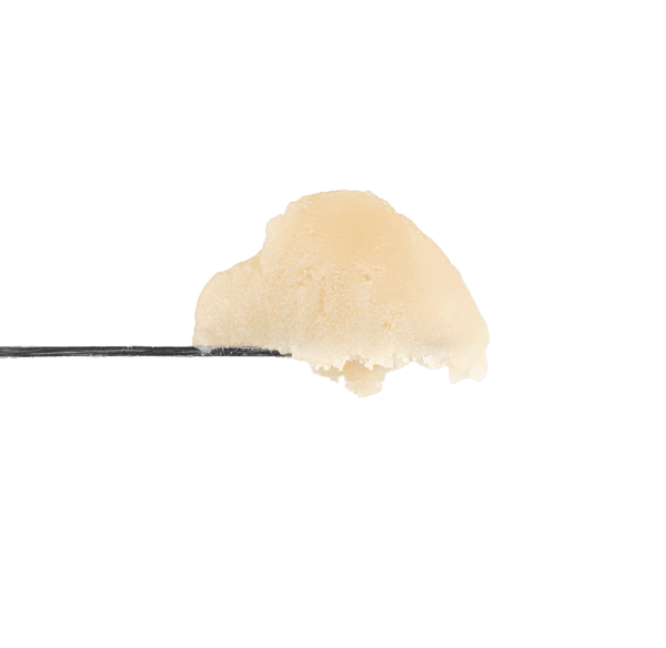 Noni Rosin