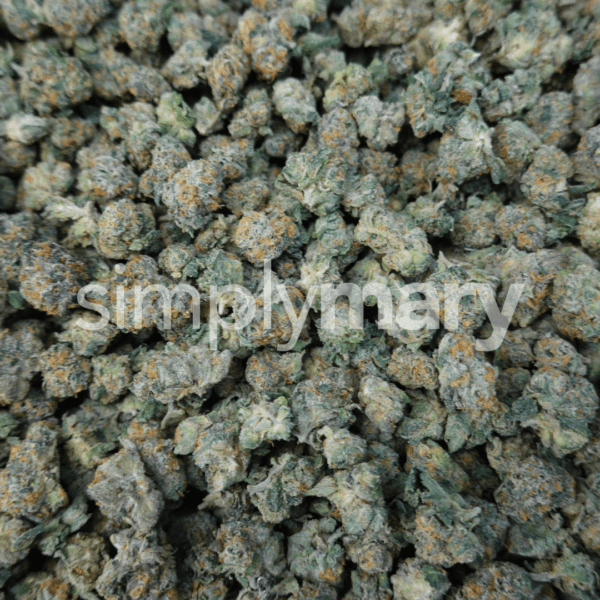 Gelato 41 Smalls - Image 2