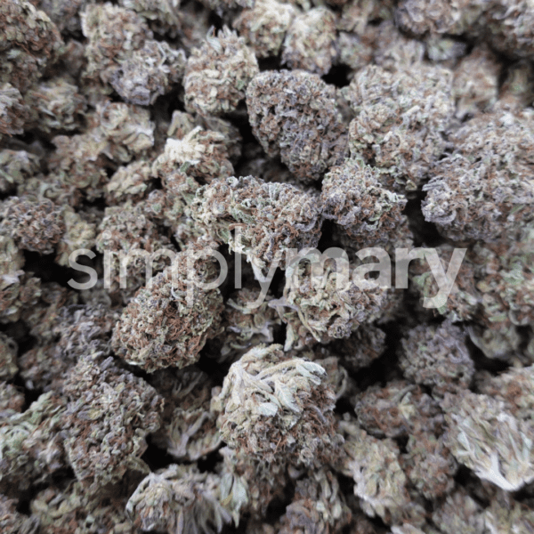 Pineapple Gelato - Image 2