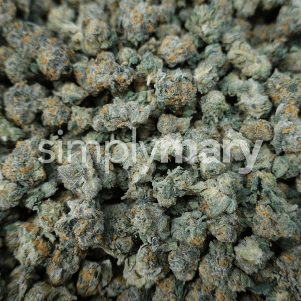 Gelato 41 Smalls - Image 3