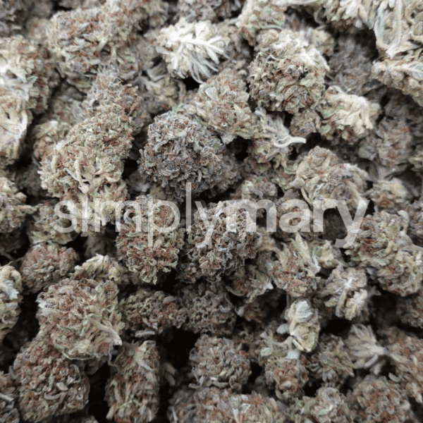 Pineapple Gelato - Image 3
