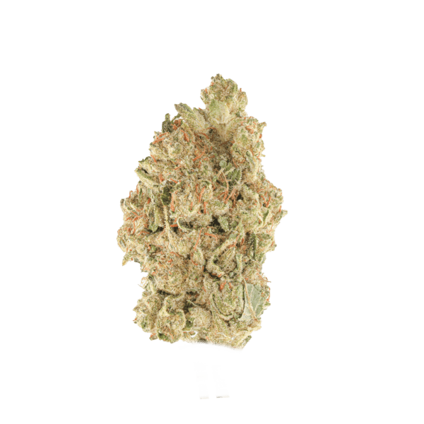 Blueberry OGZ