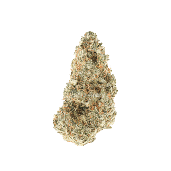 C4