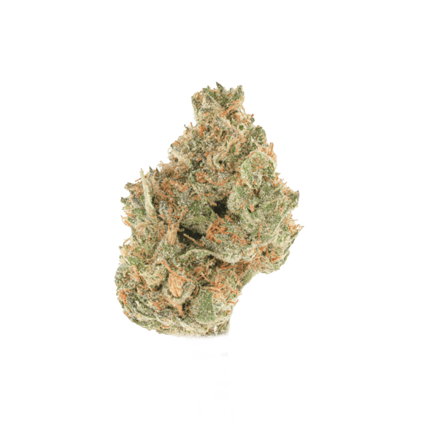 OGZ #28