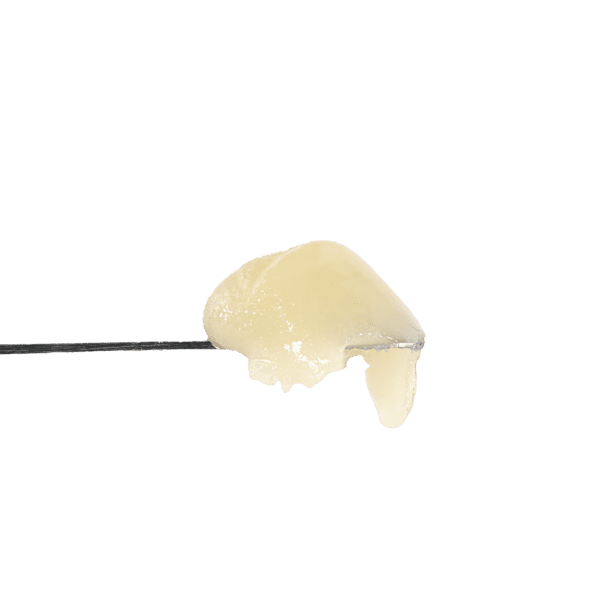 OGZ Rosin