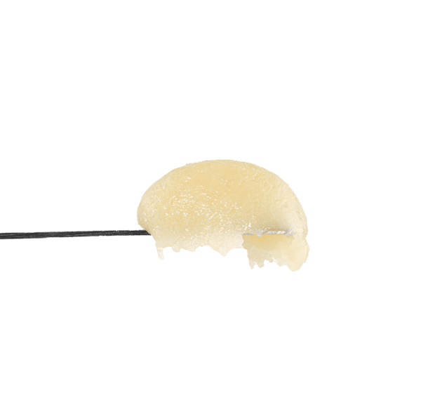 Papaya Beltz Rosin