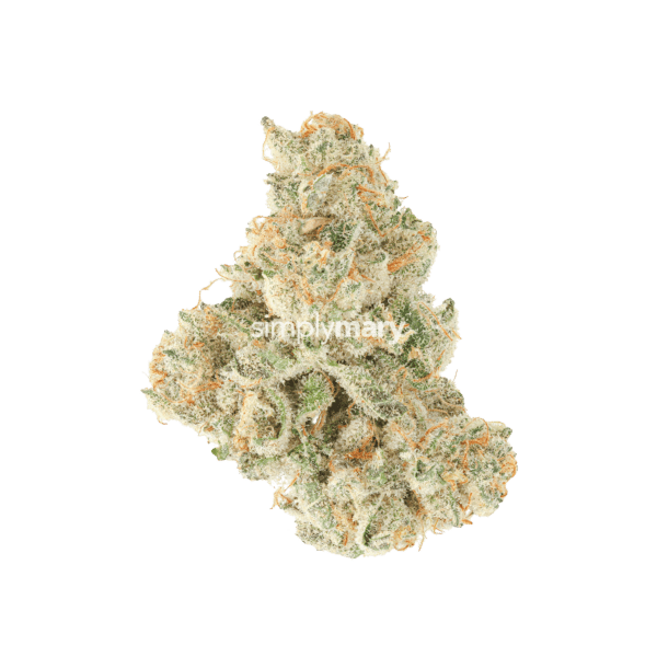 Skunk