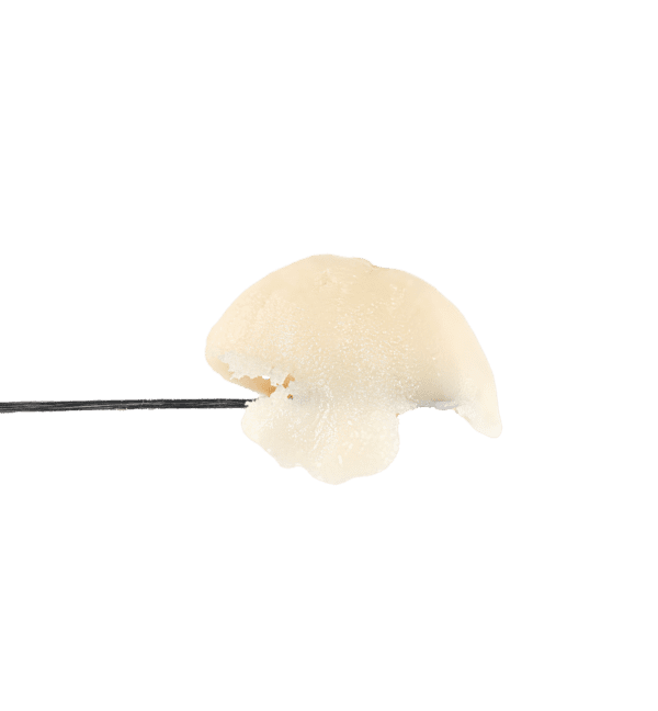 Swamp Water Fumez Rosin