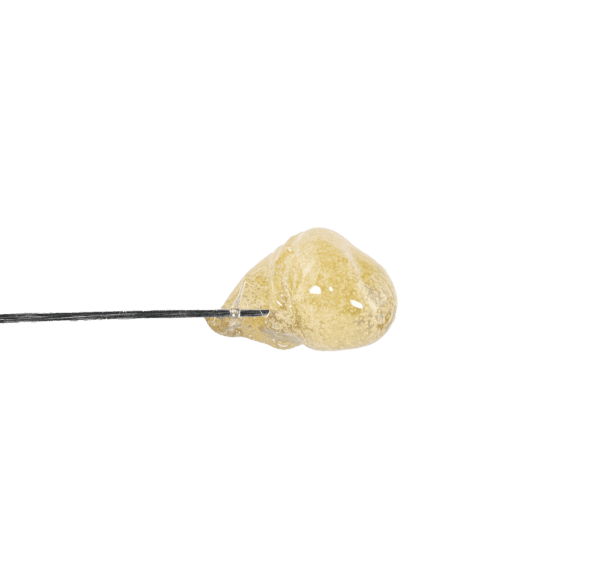 Zkittlez Fresh Press