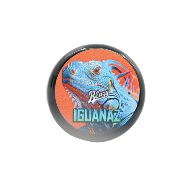 Iguanaz - Image 2