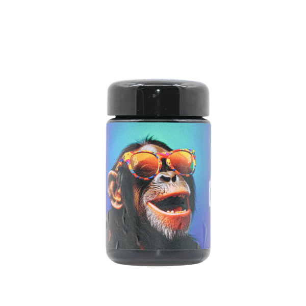 Chimpanzee - Image 3
