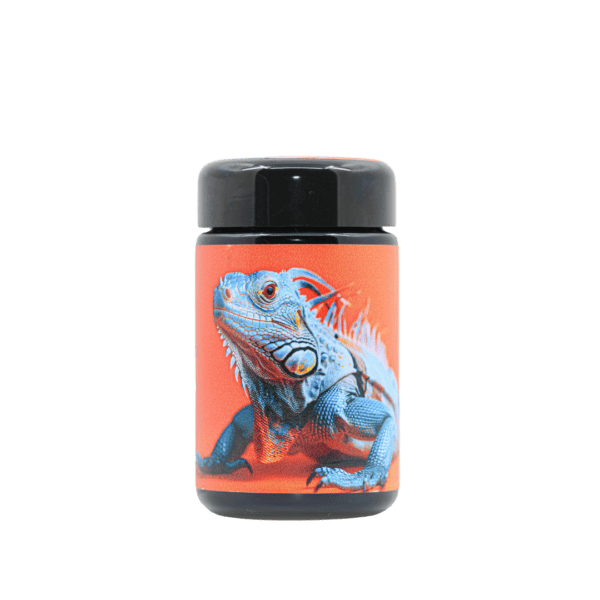 Iguanaz - Image 3