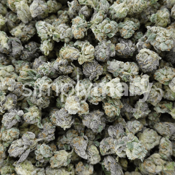 Cap Junky x Purple Push Pop Smalls - Image 2
