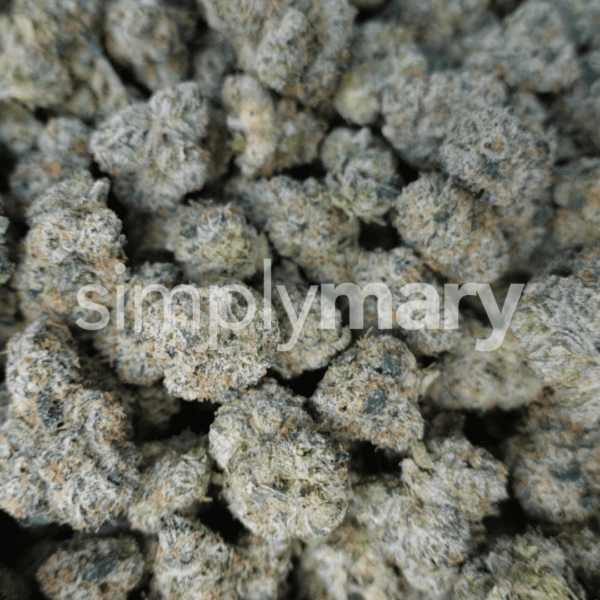 Blue Nerdz Mediums - Image 2