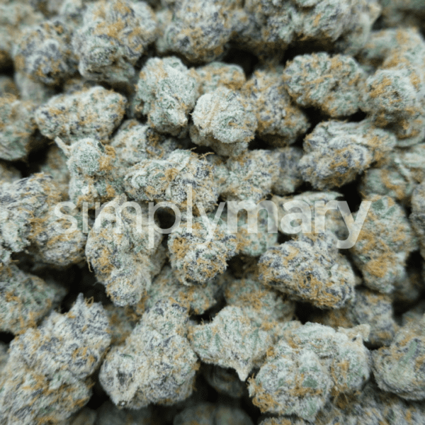 Strawberry Cherry Gelato Mediums - Image 2