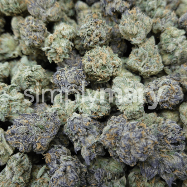 White Runtz Mediums - Image 2