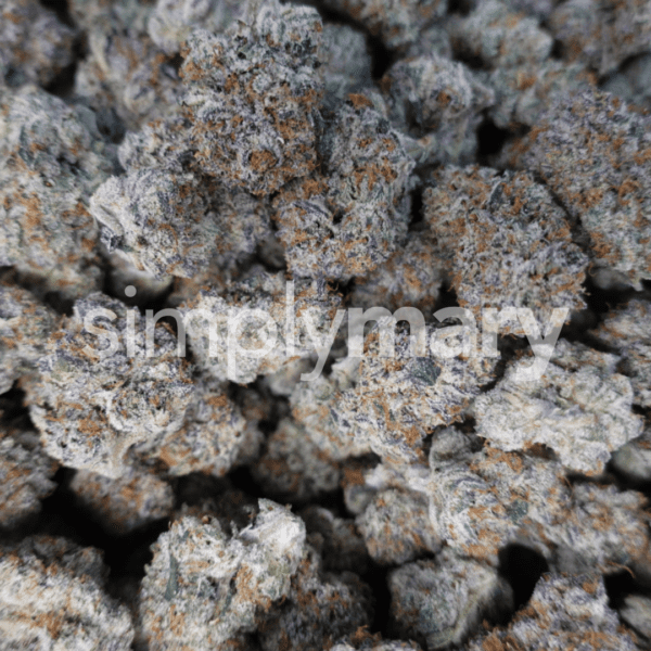 Candy Man Mediums - Image 3