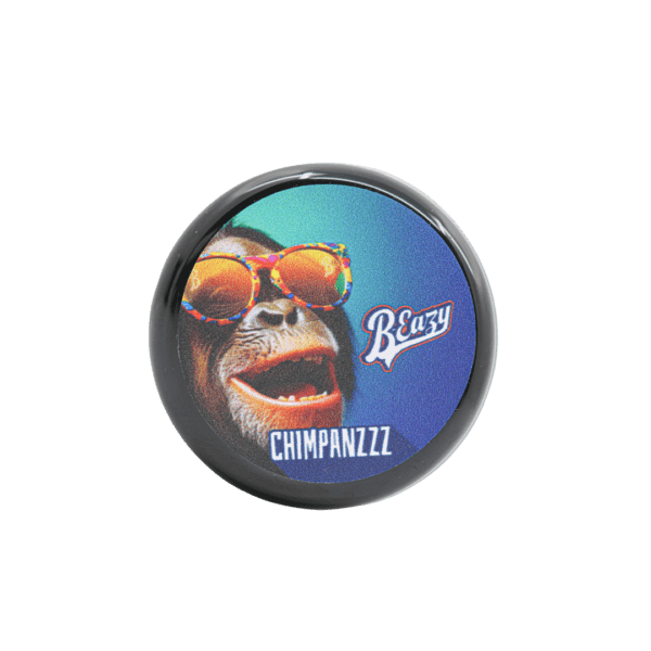 Chimpanzee - Image 2