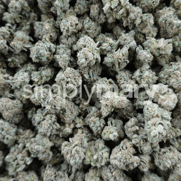 Jokerz Candy Smalls - Image 2