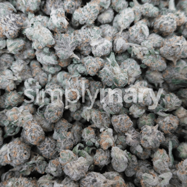 Strawberry Gelato Smalls - Image 2